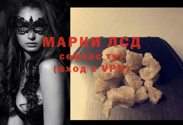 стафф Аркадак