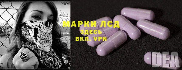 стафф Аркадак